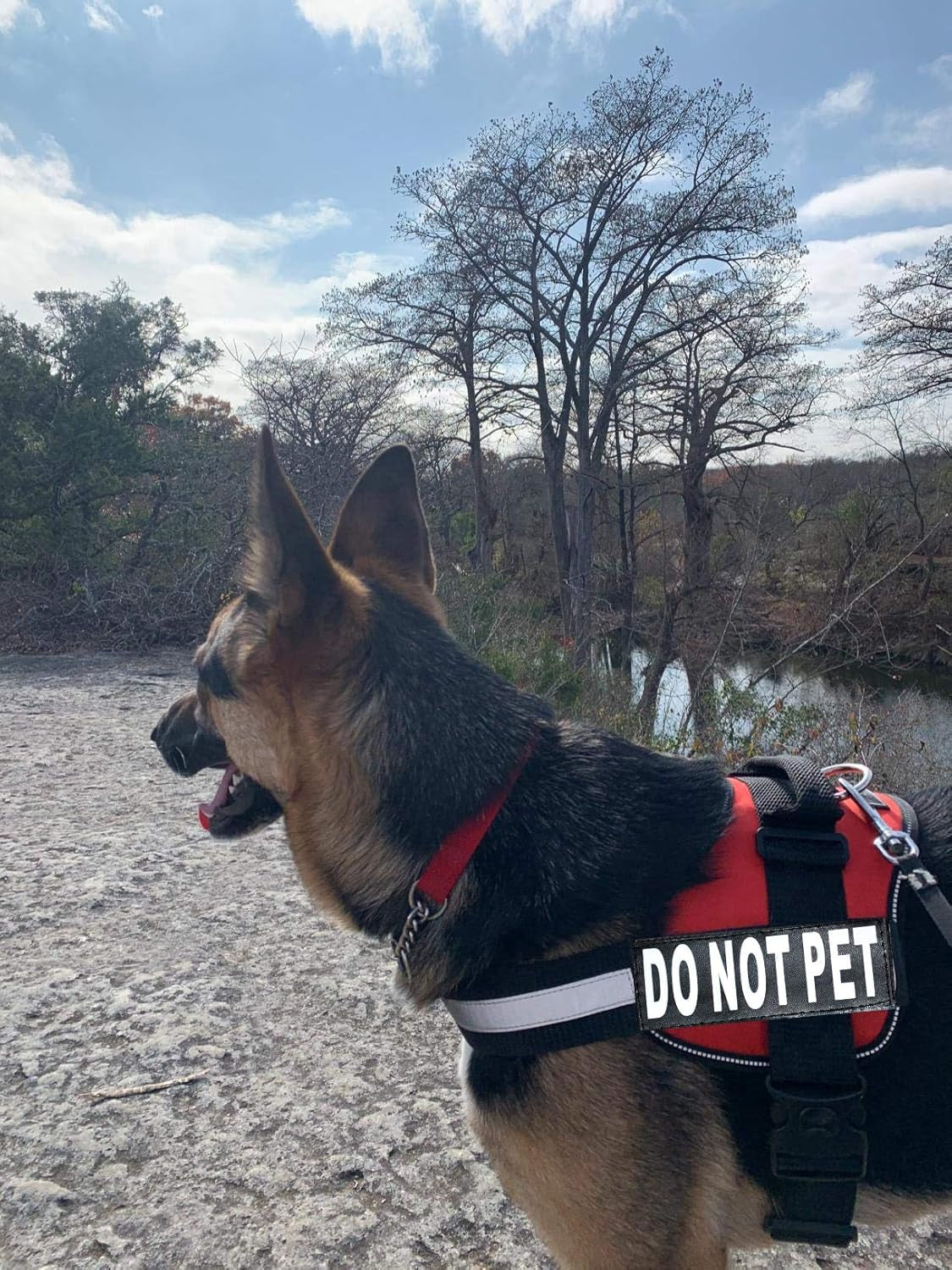 DO NOT PET Dog Vest Harness with Removable Patches and Reflective Trim. Comes with 2 DO NOT PET Reflective Removable Patches. Please Measure Dogs Girth before Purchase