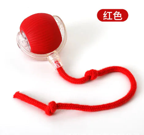 Cat Toys (One Piece)