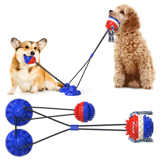 Powerful Suction Dog Toy
