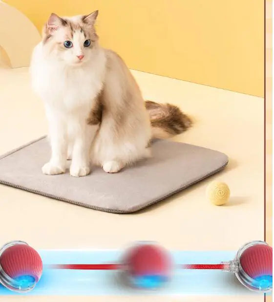Cat Toys (One Piece)