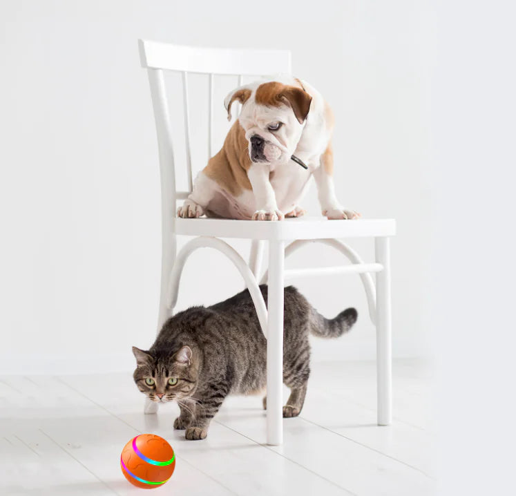 Wicked Ball Toy Intelligent Ball USB Pet Toys Self Rotating