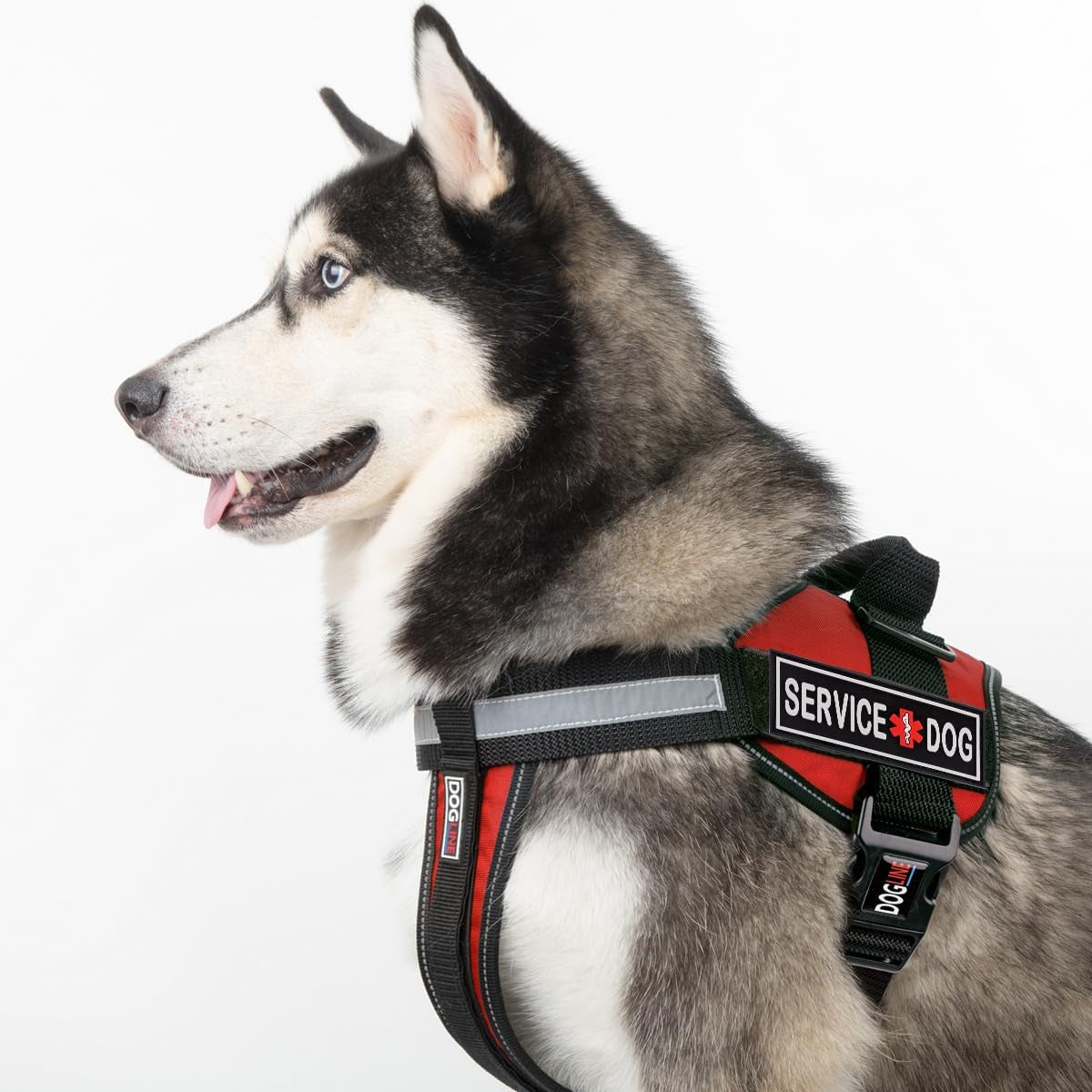 Service Dog Patch for Harness and Vest Removable 3D Rubber Patches Hook Backing for Small or Large Working Dogs