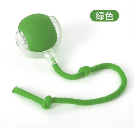 Cat Toys (One Piece)